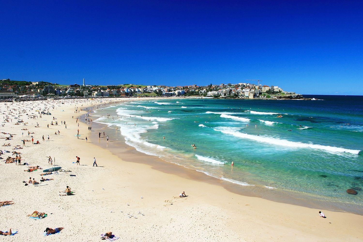 Bondi With Views From Rooftop Pool Apartment