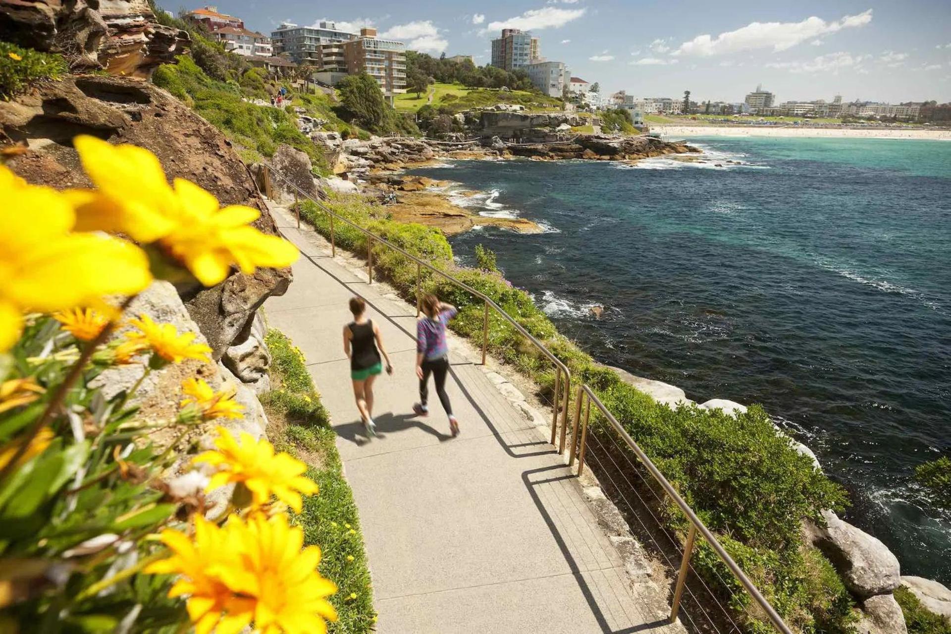 Bondi With Views From Rooftop Pool